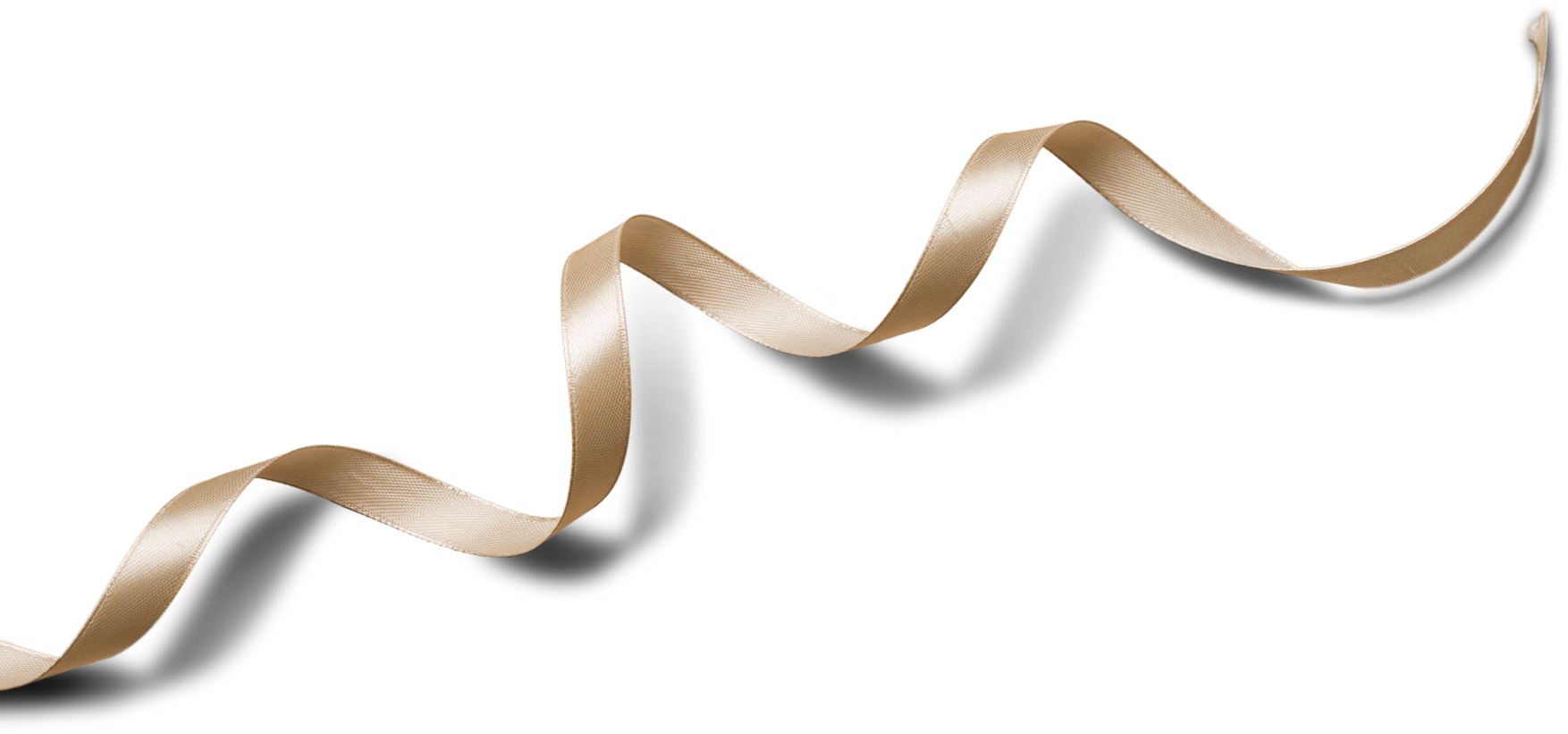 Gold Curly Ribbon.